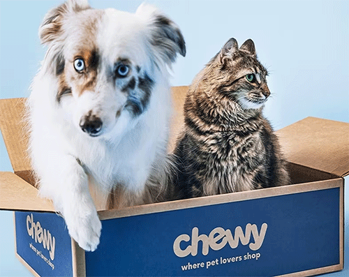 Chewy box with a cute dog and cat